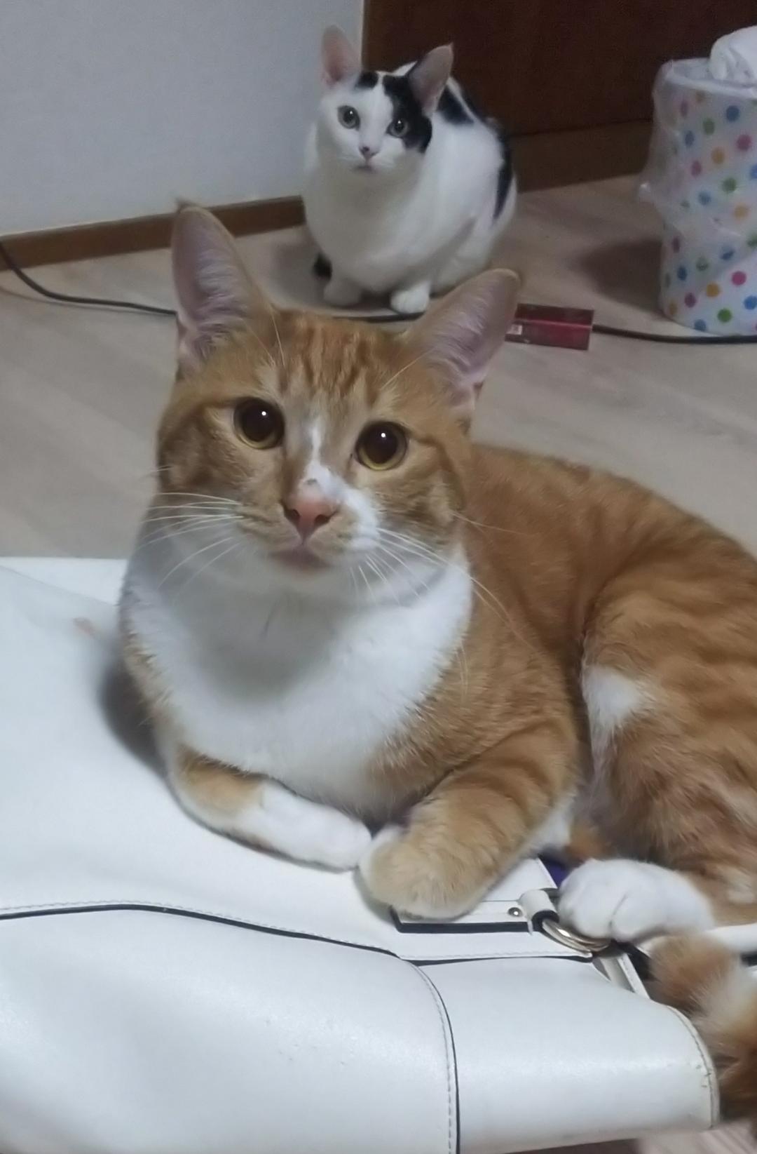悲しい出来事
