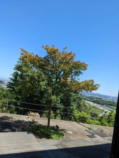 こんばんは